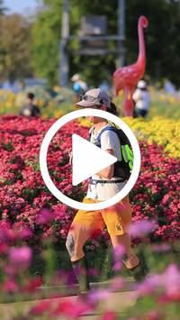 BIB:  <button type="button" onclick="openModal(27588612)" class="btn btn-primary btn-sm float-right" data-toggle="modal" data-target=".modal-high-quality">
                <i class="fa fa-download"></i> Download
                </button>